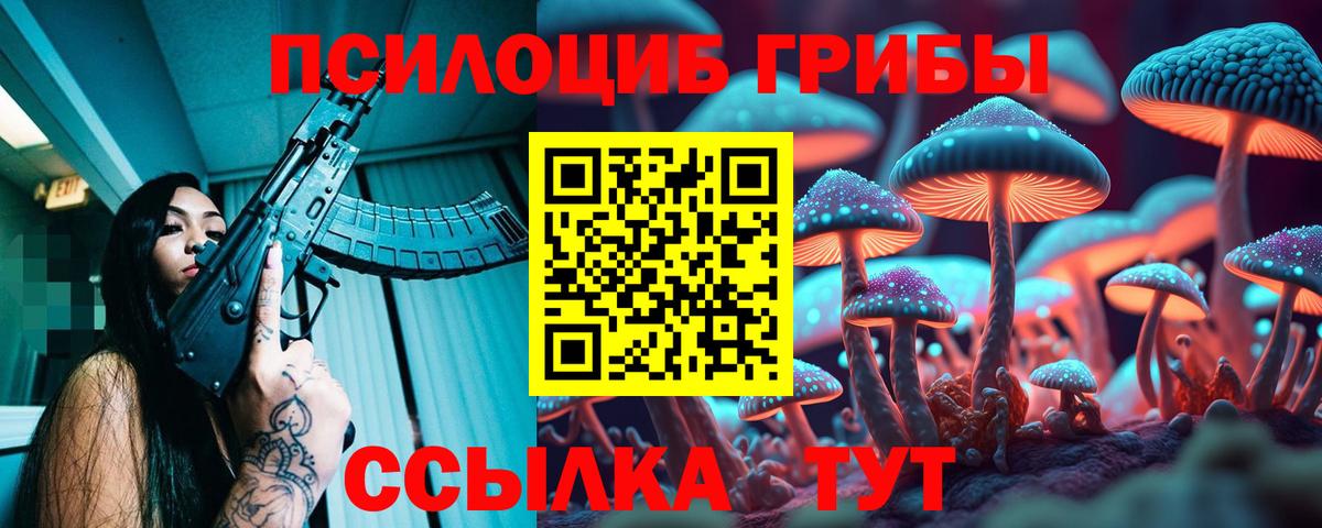 Псилоцибиновые грибы мухоморы Краснознаменск