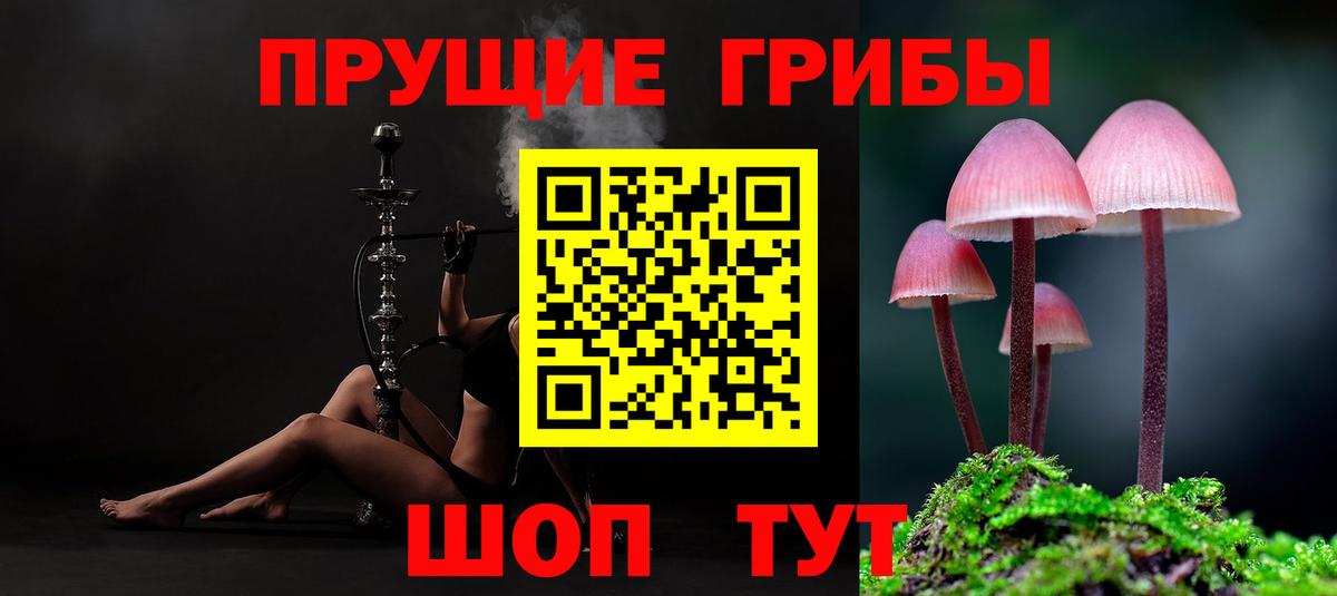 Краснознаменск  Галлюциногенные грибы прущие грибы  Вход с VPN 